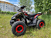 PROMAX SPORT - PRO 180 (2025)